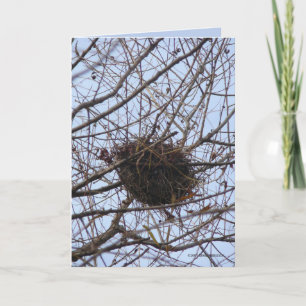 Carte Nid vide