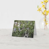 Carte Nidification des grands hérons bleus (Fleur jaune)