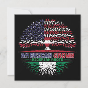 Carte Nigéria Nigérian États-Unis Américain USA États-Un
