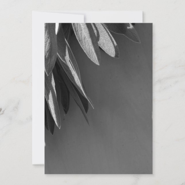 Carte Niveaux de gris fraichement coupés (Devant)