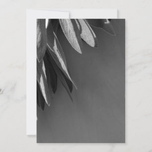 Carte Niveaux de gris fraichement coupés