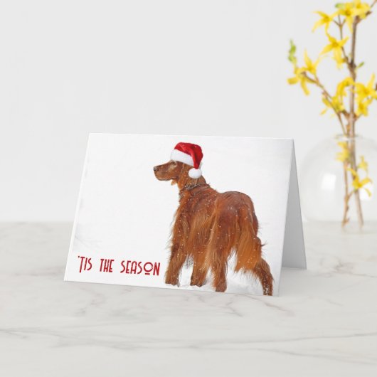 Carte Noël 2025 Irlandais Setter En Neige (Fleur jaune)