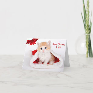 Carte Noël à toi mignon Chat à Santa Hat