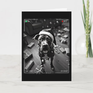 Carte Noël American Staffordshire Terrier pris sur