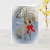 Carte Noël au Labrador (Fleur jaune)