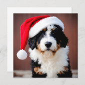 Carte Noël Bernedoodle (Devant / Derrière)