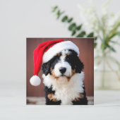 Carte Noël Bernedoodle (Debout devant)