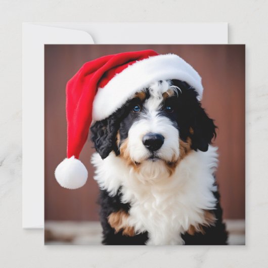 Carte Noël Bernedoodle (Devant)