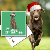 Carte Noël Brown Labrador Chien vert Joyeux voeux