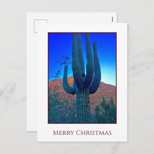 Carte Noël Cactus (Devant / Derrière)