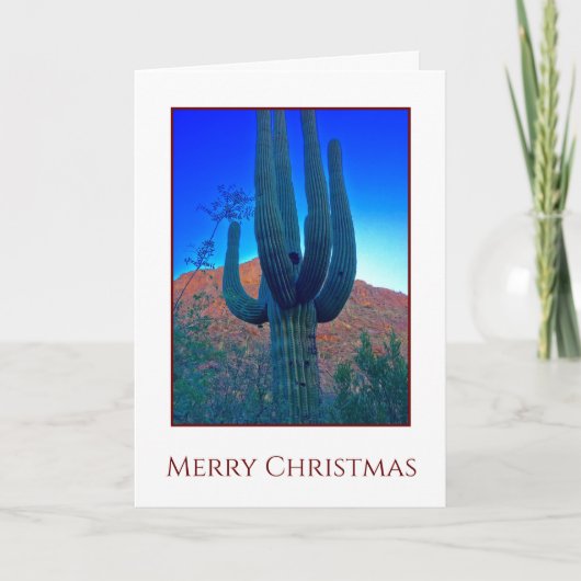 Carte Noël Cactus (Devant)