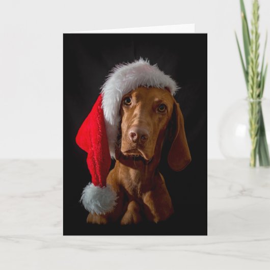 Carte Noël / Carte Noël "Magyar Vizsla" (Devant)