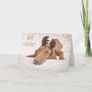 Carte Noël / Carte Noël "Magyar Vizsla"