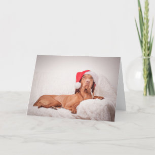 Carte Noël / Carte Noël "Magyar Vizsla"