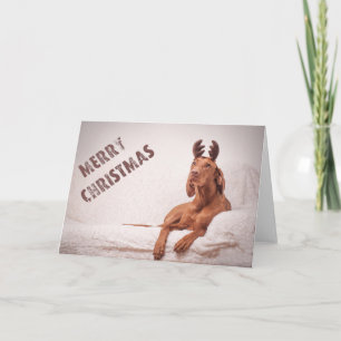 Carte Noël / Carte Noël "Magyar Vizsla"