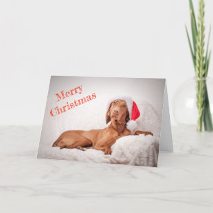 Carte Noël / Carte Noël "Magyar Vizsla"