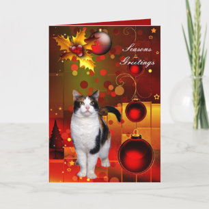 Carte Noël Chat