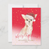Carte Noël Chihuahua Chien Or Rouge Salutation saisonniè (Devant)