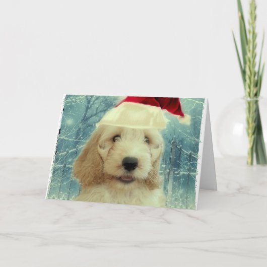 Carte Noël Cockapoo (Devant)