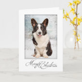 Carte Noël Corgi (Fleur jaune)