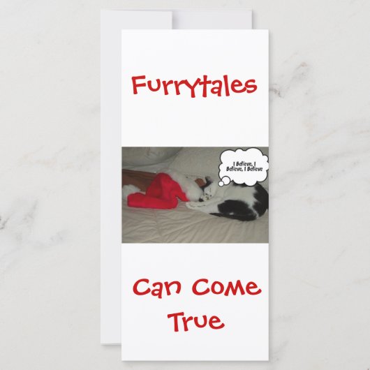 Carte Noël Croire Kitten noir et blanc (Devant)