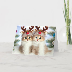 Carte Noël de chat