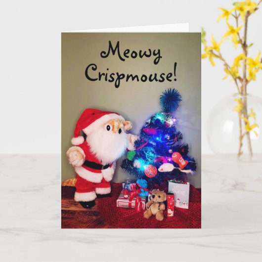 Carte Noël de chat (Fleur jaune)