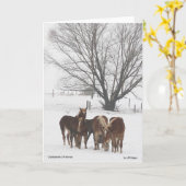 Carte Noël de Clydesdale (Fleur jaune)