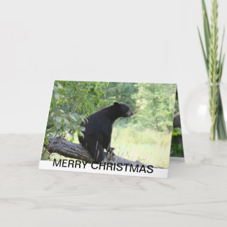 carte noël de l'ours noir