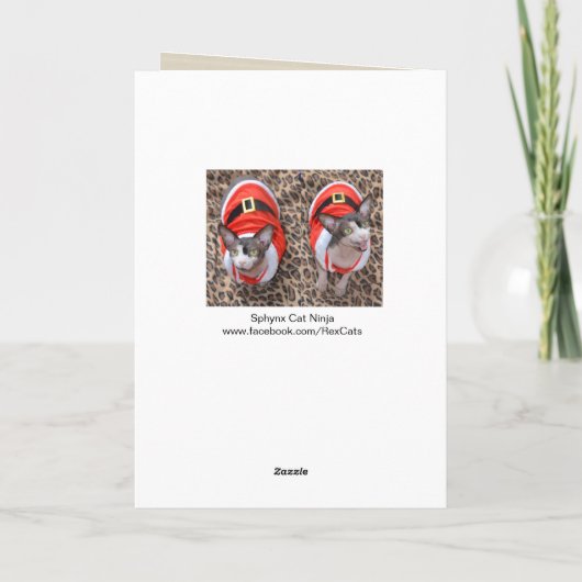 Carte Noël de Ninja Père Noël de chat de Sphynx (Dos)
