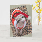 Carte Noël de Ninja Père Noël de chat de Sphynx (Fleur jaune)