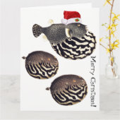 Carte Noël de Père Noël de poissons de Blowfish Joyeux ! (Fleur jaune)