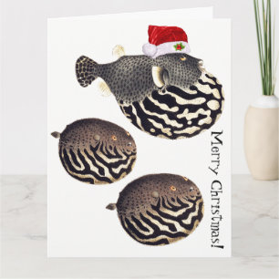 Carte Noël de Père Noël de poissons de Blowfish Joyeux !