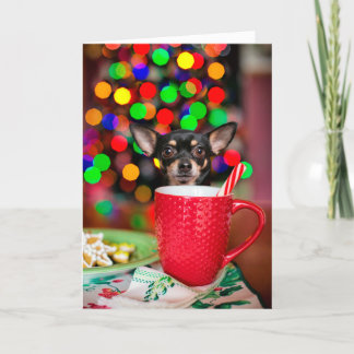 Carte Noël du Chihuahua