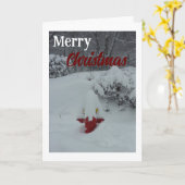 Carte Noël enflammé de neige (Fleur jaune)