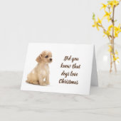 CARTE NOËL EST "SPÉCIALE" POUR CET ESPAGNOL DE COCKER (Fleur jaune)