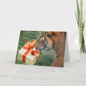 Carte Noël et jour férié en synchronisation (Devant)