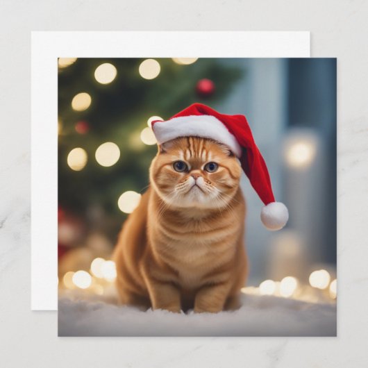 Carte Noël Exotique Shorthair (Devant / Derrière)