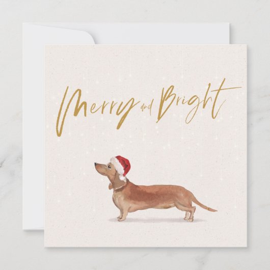 Carte Noël Fête Dachshund Tan Chien Joyeux voeux (Devant)