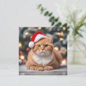 Carte Noël Ginger British Shorthair (Debout devant)