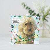 Carte Noël Goldendoodle, Amusement Doodle (Debout devant)