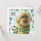 Carte Noël Goldendoodle, Amusement Doodle (Devant/Arrière en situation)