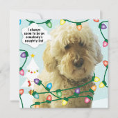 Carte Noël Goldendoodle, Fun Doodle (Devant)