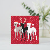 Carte Noël Grecyhounds (Debout devant)