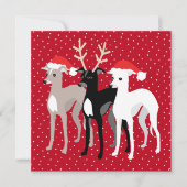 Carte Noël Grecyhounds (Devant)