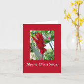 Carte Noël hawaïen (Fleur jaune)