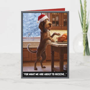 Carte Noël hilarant avec un Spinone Italien
