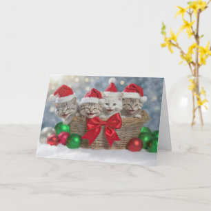 Carte Noël Joyeuses vacances avec un panier de chatons