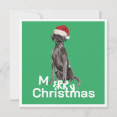 Carte Noël Labrador Chien blanc Vert Joyeux voeux (Devant)