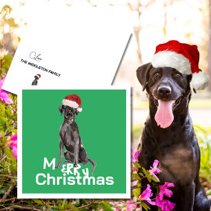 Carte Noël Labrador Chien blanc Vert Joyeux voeux
